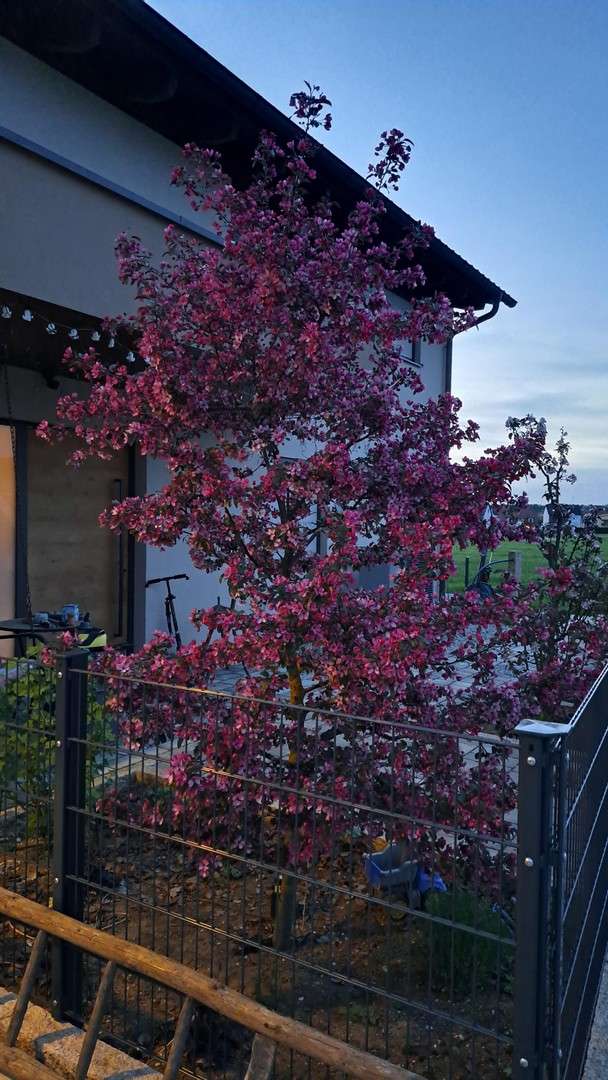 Thumbnail-Haus zum Kaufen in Langensendelbach 1.100.000,00 € 178 m²