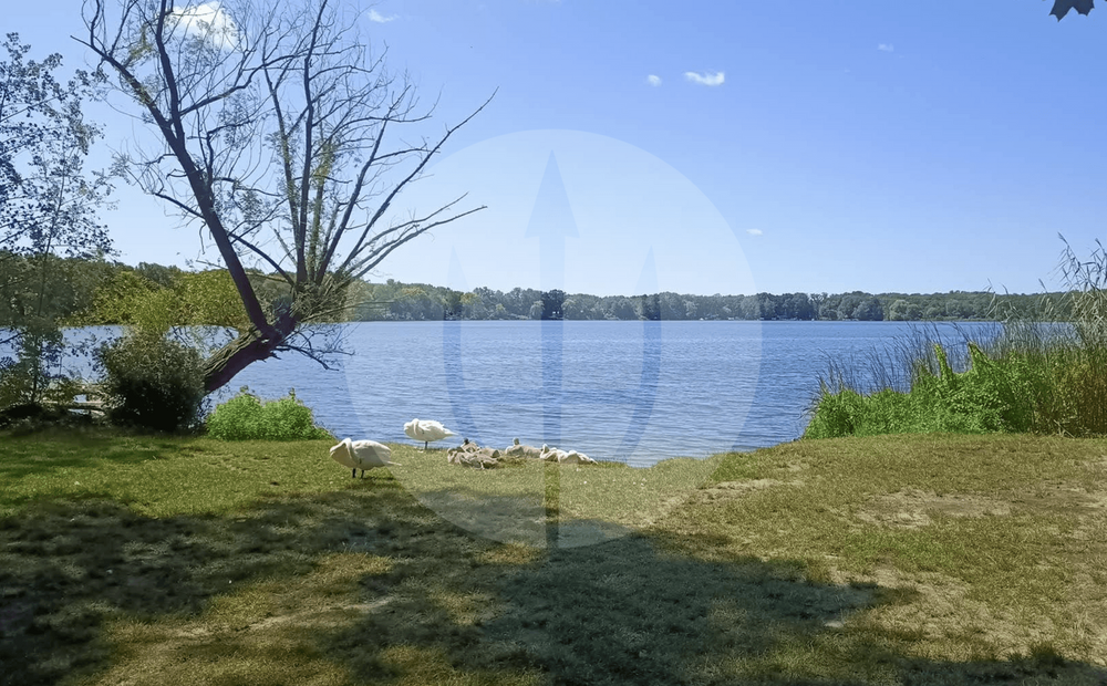 Thumbnail-Grundstück zu verkaufen in Schwielowsee 490.000,00 € 500 m²