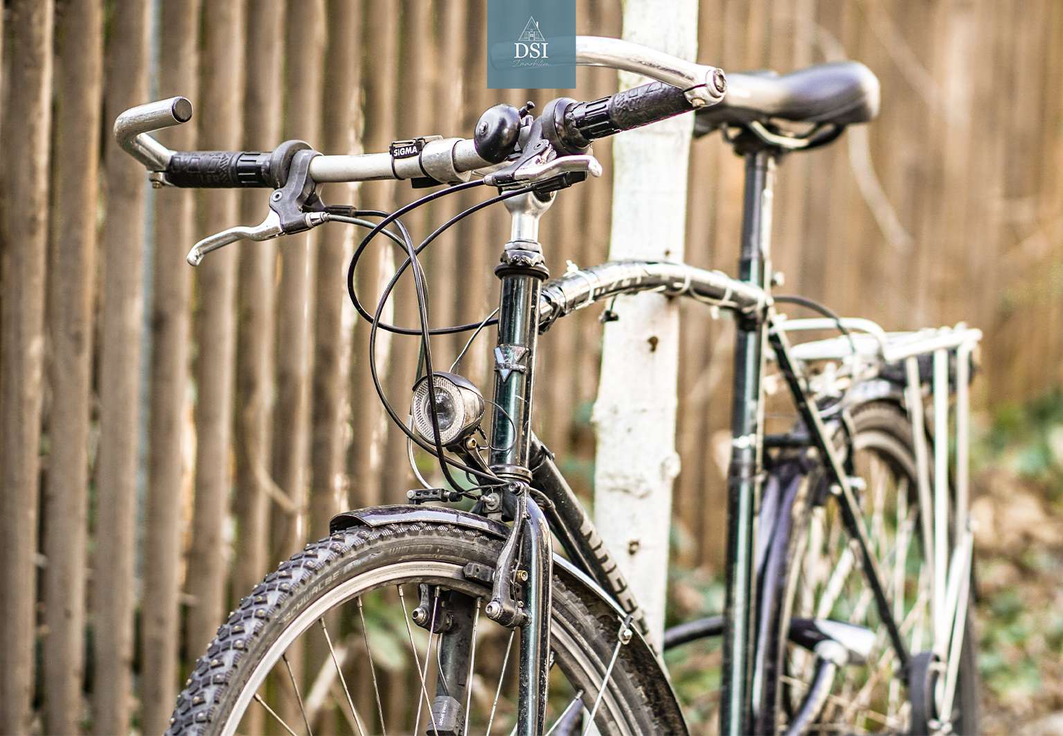 Thumbnail-Haus zum Kaufen in Dresden 2.700.000,00 € 3935 m²