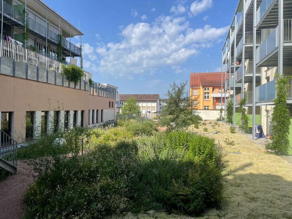 Thumbnail-Wohnung zum Kaufen in Singen (Hohentwiel) 446.400,00 € 85.87 m²