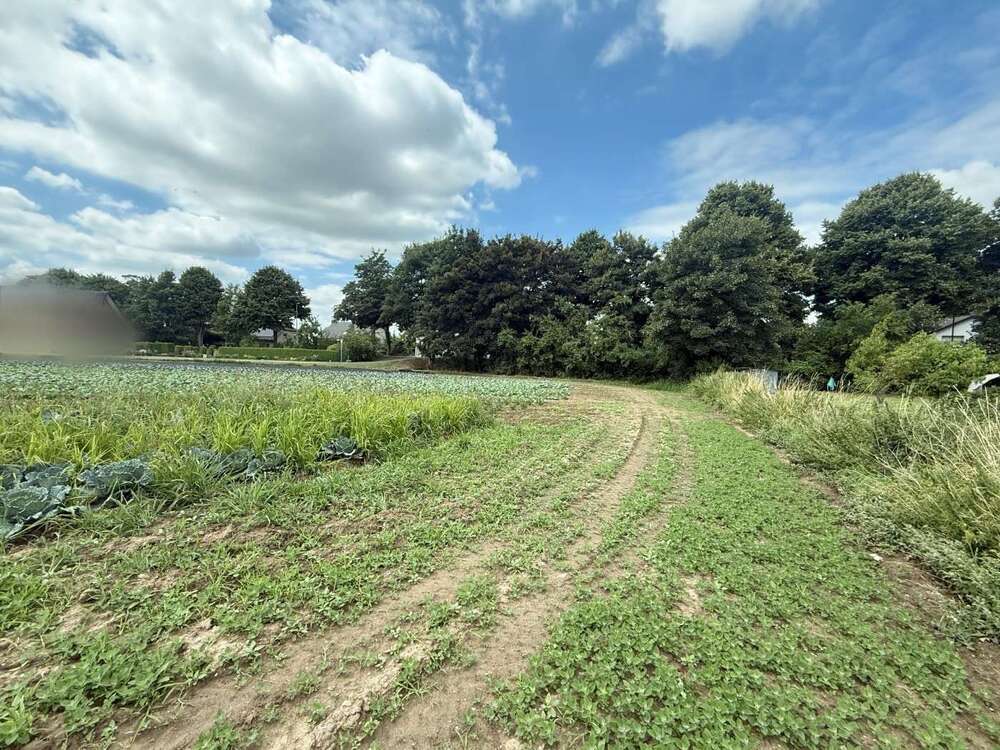 Thumbnail-Grundstück zu verkaufen in Wesel 70.000,00 € 710 m²