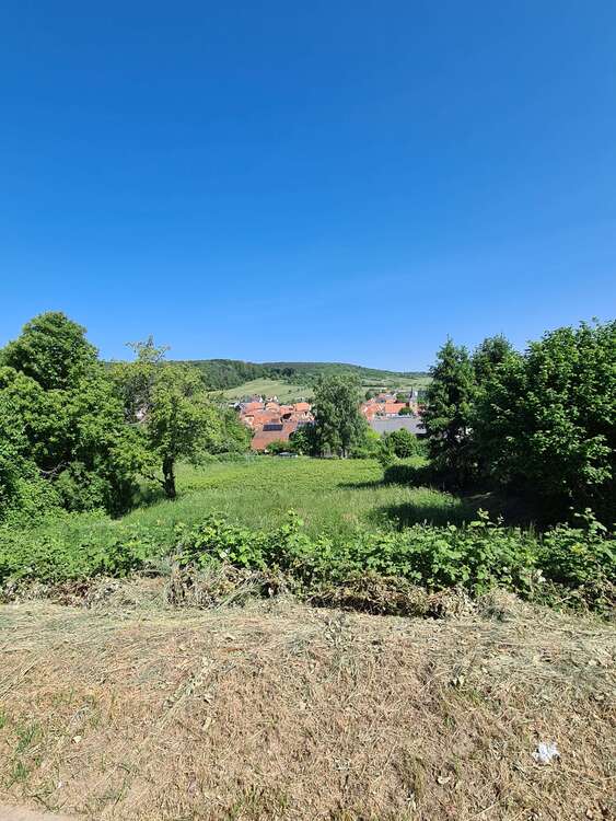 Thumbnail-Grundstück zu verkaufen in Oberotterbach 155.000,00 € 589 m²