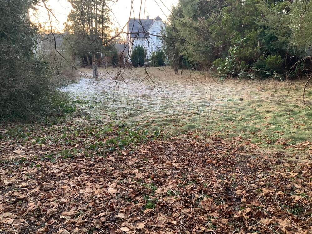 Thumbnail-Grundstück zu verkaufen in Hamburg 1.300.000,00 € 1750 m²