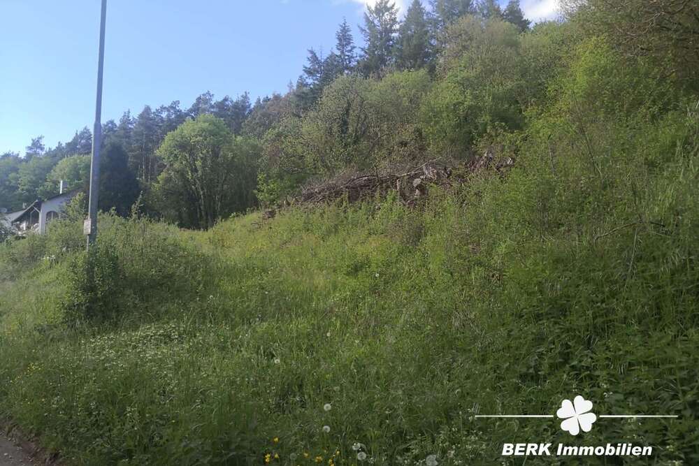 Thumbnail-Grundstück zu verkaufen in Walldürn Rippberg 105.000,00 € 3298 m²