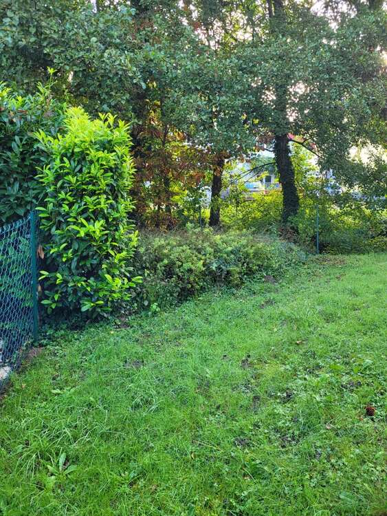 Thumbnail-Wohnung zum Mieten in Sinzheim 1.630,00 € 163.15 m²