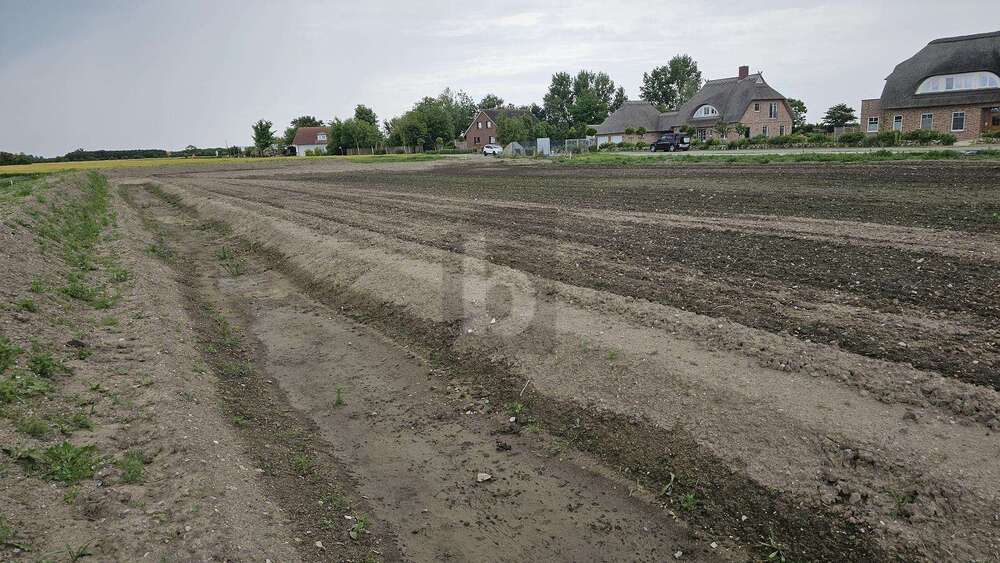Thumbnail-Grundstück zu verkaufen in Fehmarn 219.000,00 € 890 m²