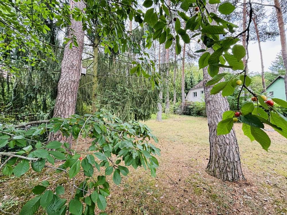 Thumbnail-Grundstück zu verkaufen in Dahlwitz-Hoppegarten 400.000,00 € 877 m²