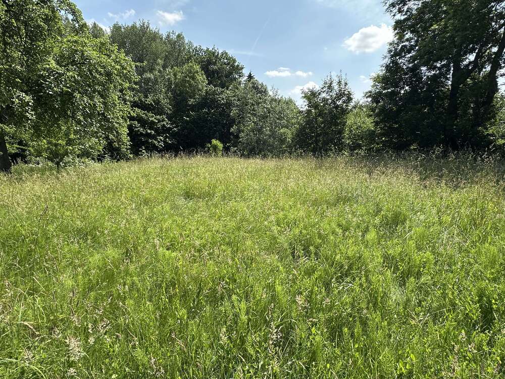 Thumbnail-Grundstück zu verkaufen in Klütz 50.000,00 € 656 m²