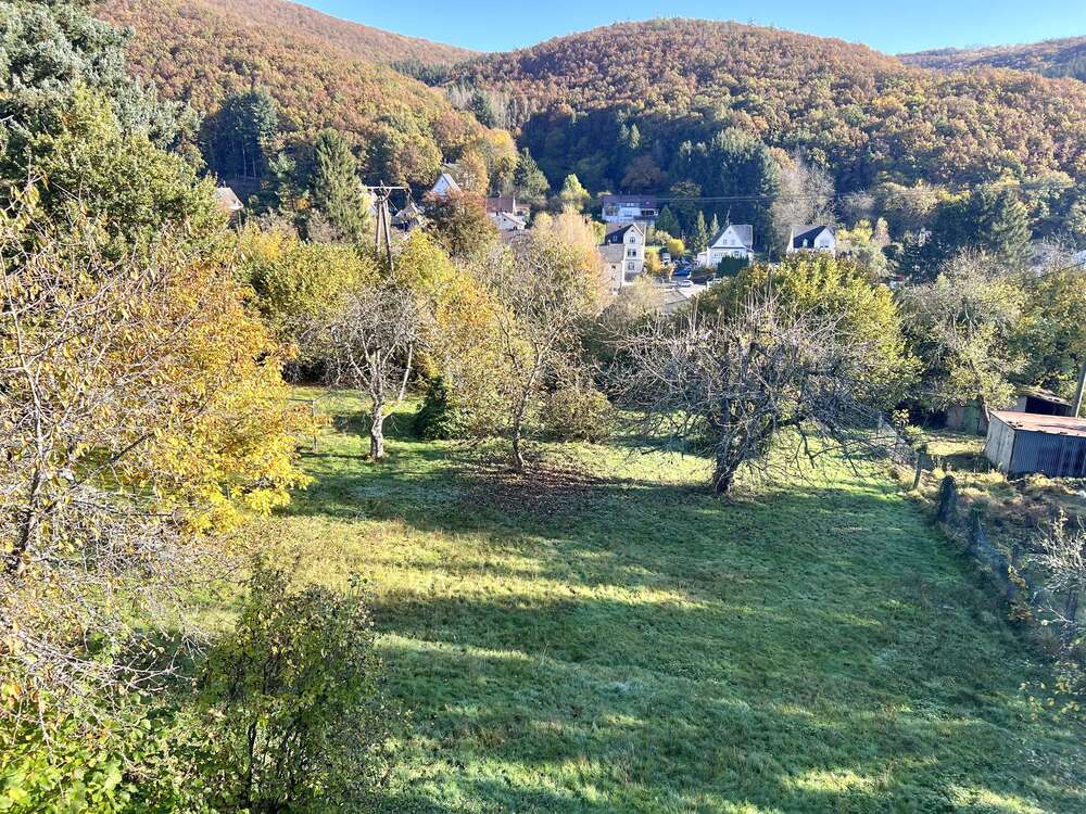 Thumbnail-Haus zum Mieten in Idar-Oberstein 990,00 € 170 m²