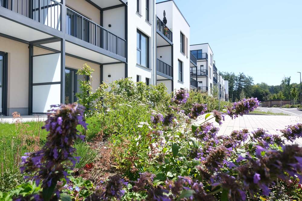 Thumbnail-Wohnung zum Mieten in Höhr-Grenzhausen 504,00 € 42 m²