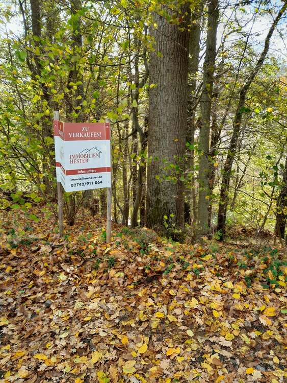 Thumbnail-Grundstück zu verkaufen in Reichshof 125.000,00 € 1645 m²