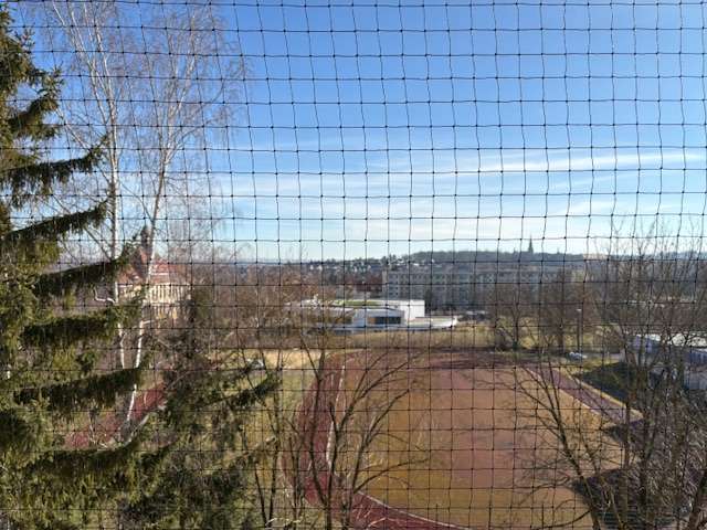 Thumbnail-Wohnung zum Mieten in Zwickau 295,50 € 42.2 m²