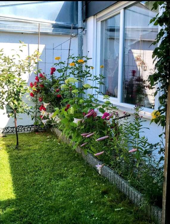 Thumbnail-Haus zum Kaufen in Bingen 255.000,00 € 84.2 m²