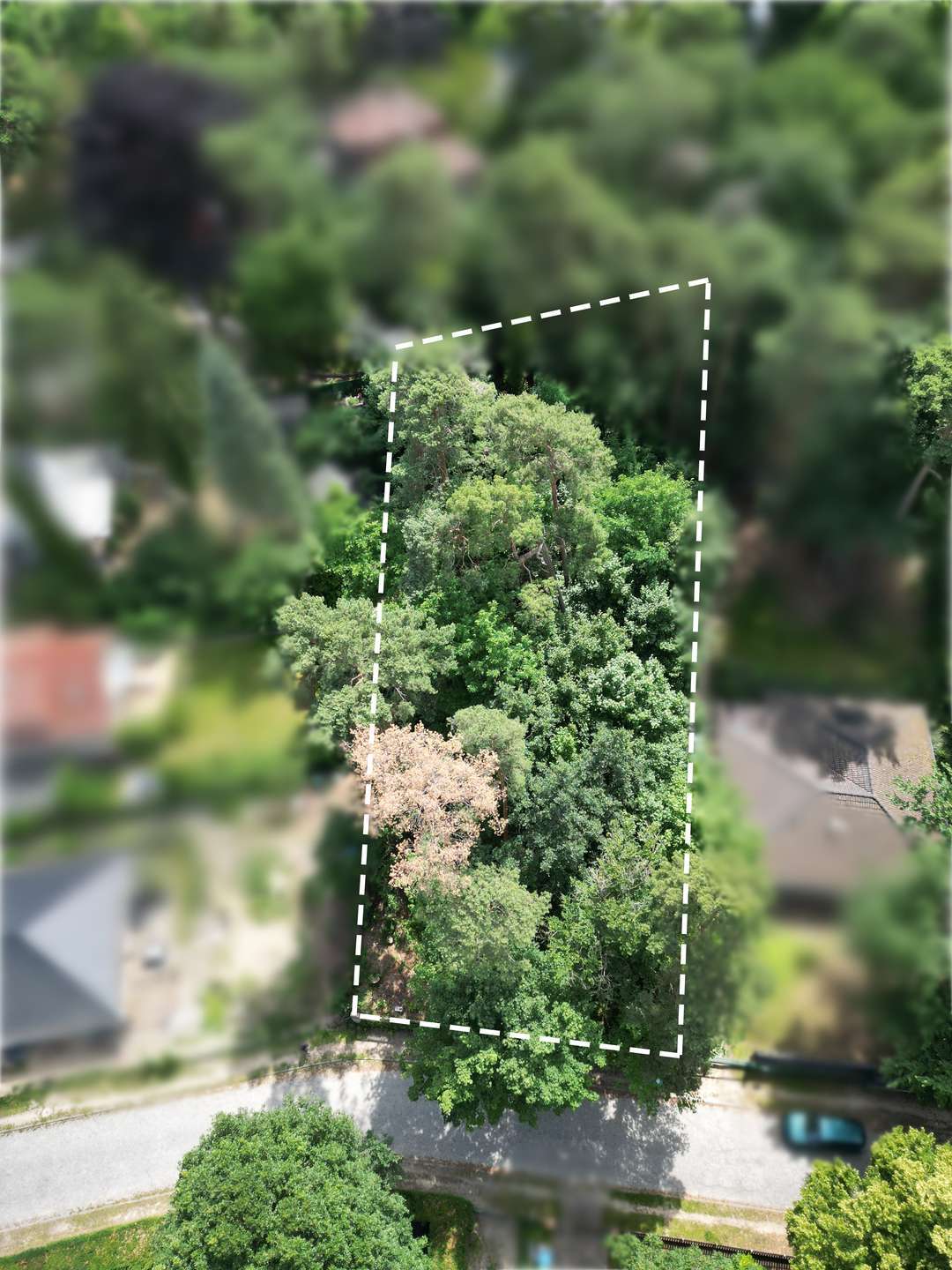 Thumbnail-Grundstück zu verkaufen in Rangsdorf 350.000,00 € 1237 m²