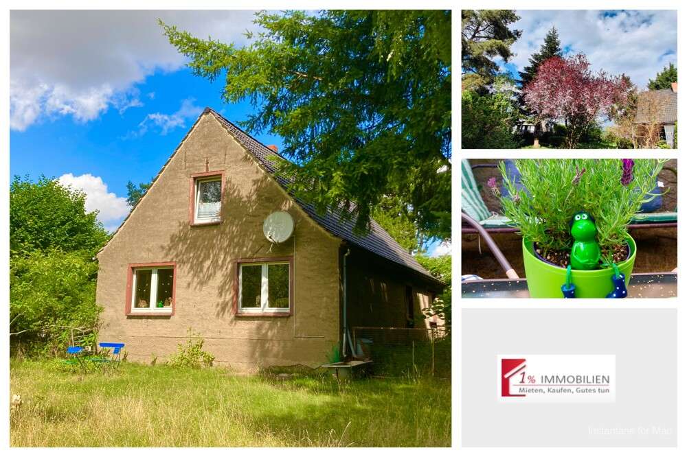 Thumbnail-Haus zum Kaufen in Gribow 120.000,00 € 149 m²