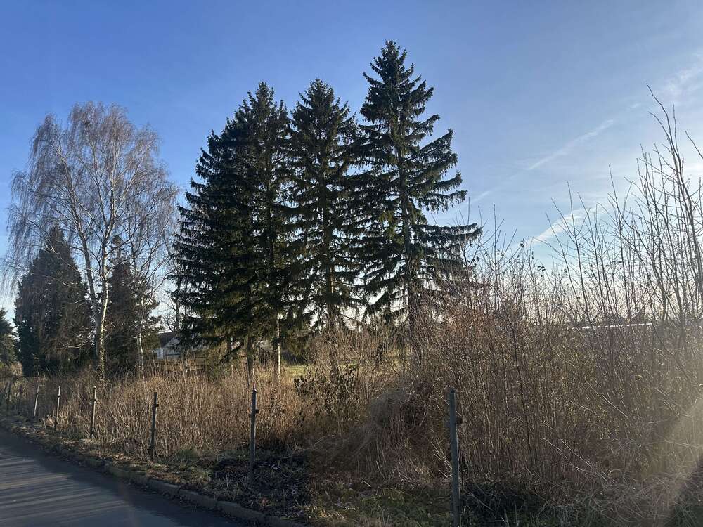 Thumbnail-Grundstück zu verkaufen in Görlitz 24.900,00 € 1998 m²