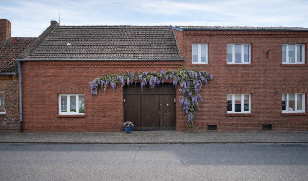 Thumbnail-Haus zum Kaufen in Elsdorf 315.000,00 € 130 m²