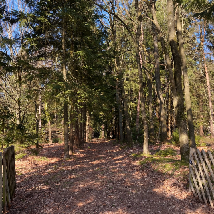 Thumbnail-Grundstück zu verkaufen in Rade 245.000,00 € 2564 m²