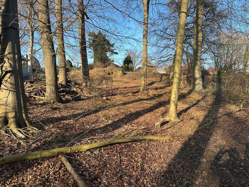 Thumbnail-Grundstück zu verkaufen in Büchen 610.000,00 € 4645 m²