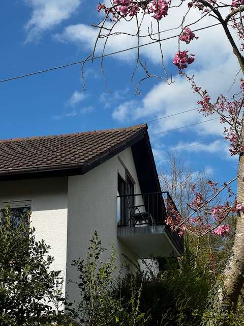 Thumbnail-Wohnung zum Mieten in Bad Teinach-Rötenbach 350,00 € 68.44 m²