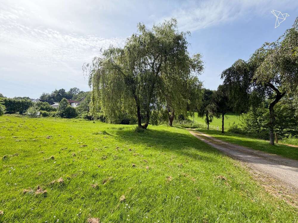 Thumbnail-Grundstück zu verkaufen in Lüdenscheid 129.000,00 € 825 m²