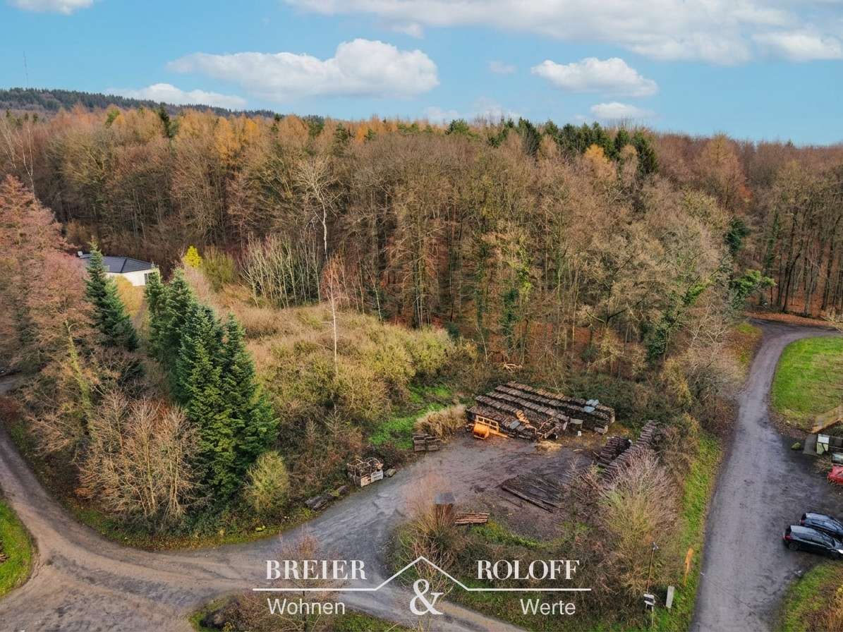 Thumbnail-Grundstück zu verkaufen in Kathrinhagen 89.000,00 € 1288 m²