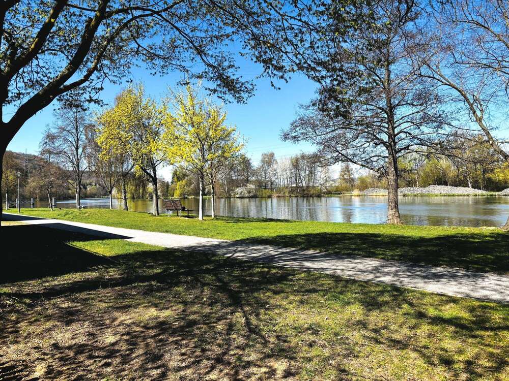 Thumbnail-Haus zum Kaufen in Eltmann 520.000,00 € 250 m²