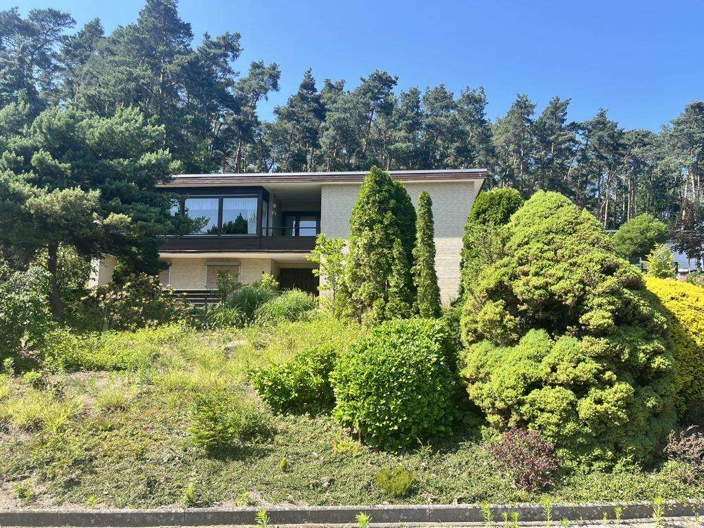 Thumbnail-Haus zum Kaufen in Dannenberg 392.000,00 € 215 m²