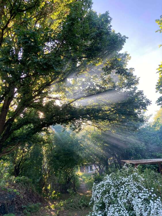 Thumbnail-Grundstück zu verkaufen in Wiesbaden 58.000,00 € 1589 m²