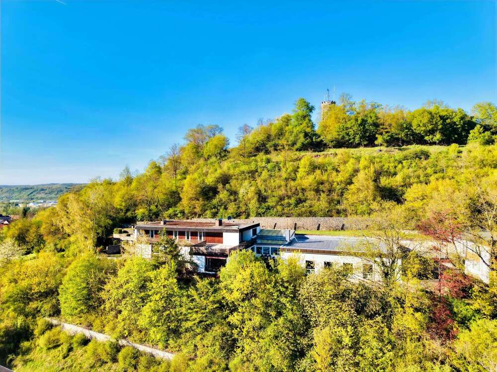 Thumbnail-Haus zum Kaufen in Eltmann 990.000,00 € 850 m²