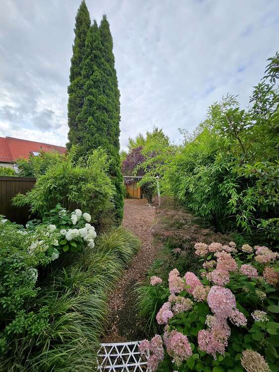 Thumbnail-Haus zum Kaufen in Berlin 549.000,00 € 137 m²