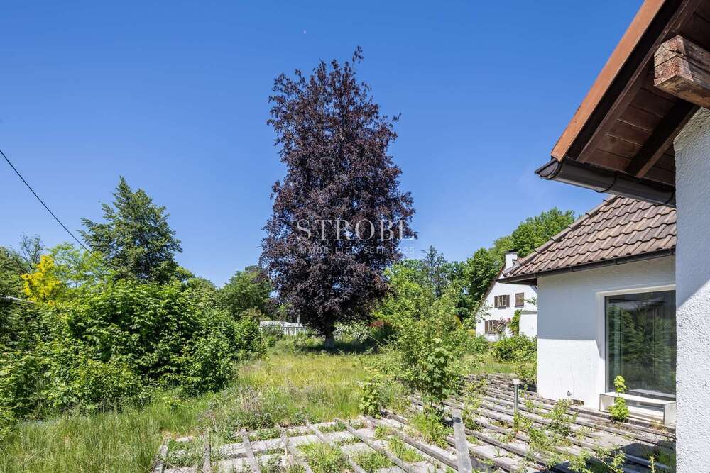 Thumbnail-Grundstück zu verkaufen in Grünwald 2.650.000,00 € 1177 m²