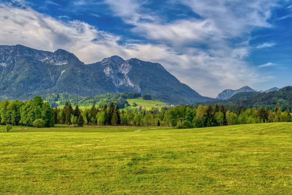 Thumbnail-Haus zum Kaufen in Traunstein 3.995.000,00 € 900 m²