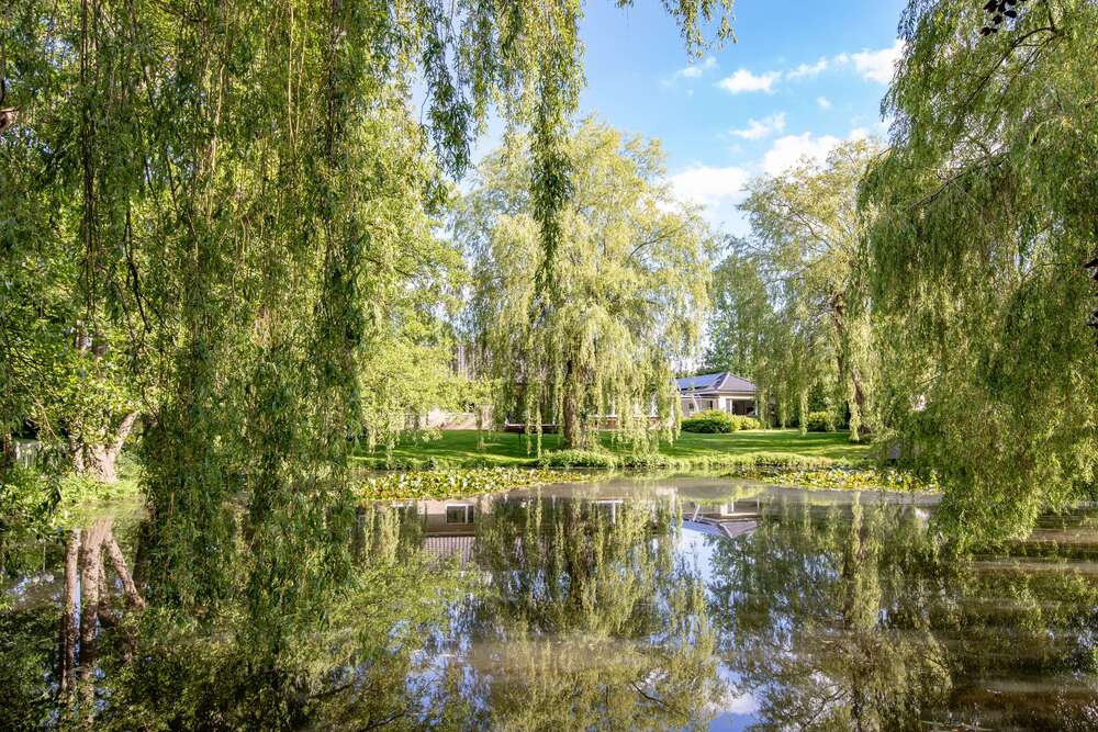 Thumbnail-Haus zum Kaufen in Quern 1.350.000,00 € 207 m²