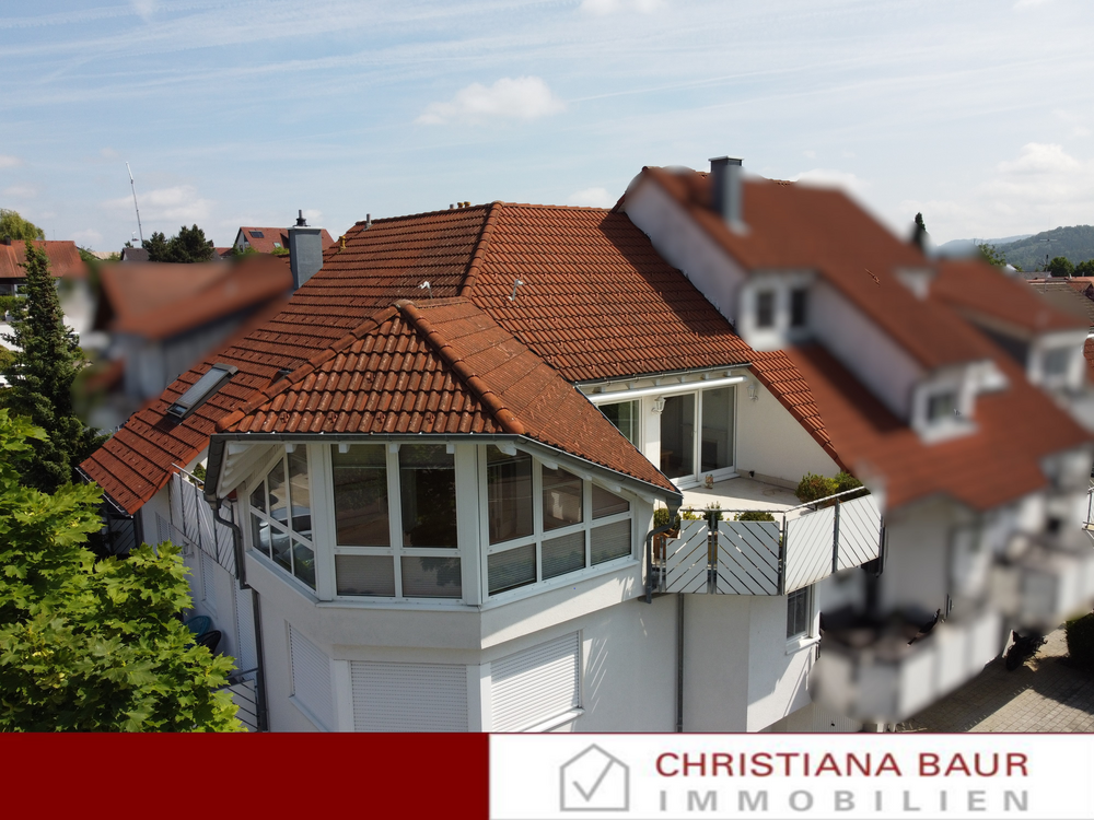 Thumbnail-Wohnung zum Kaufen in Balingen 735.000,00 € 213 m²