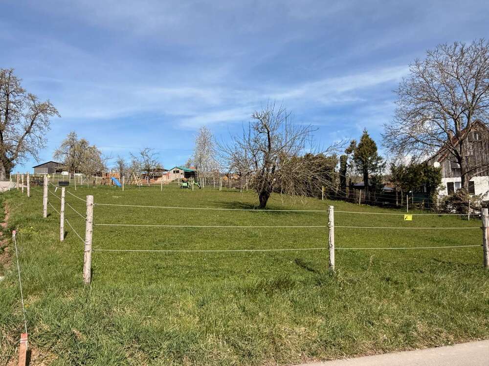 Thumbnail-Grundstück zu verkaufen in Bad Teinach-Zavelstein 238.000,00 € 850 m²