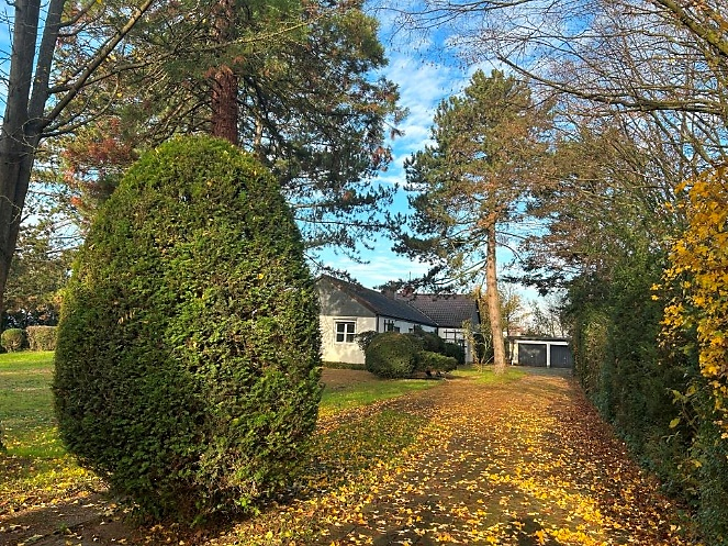 Thumbnail-Haus zum Kaufen in Frankenthal 1.200.000,00 € 241.1 m²