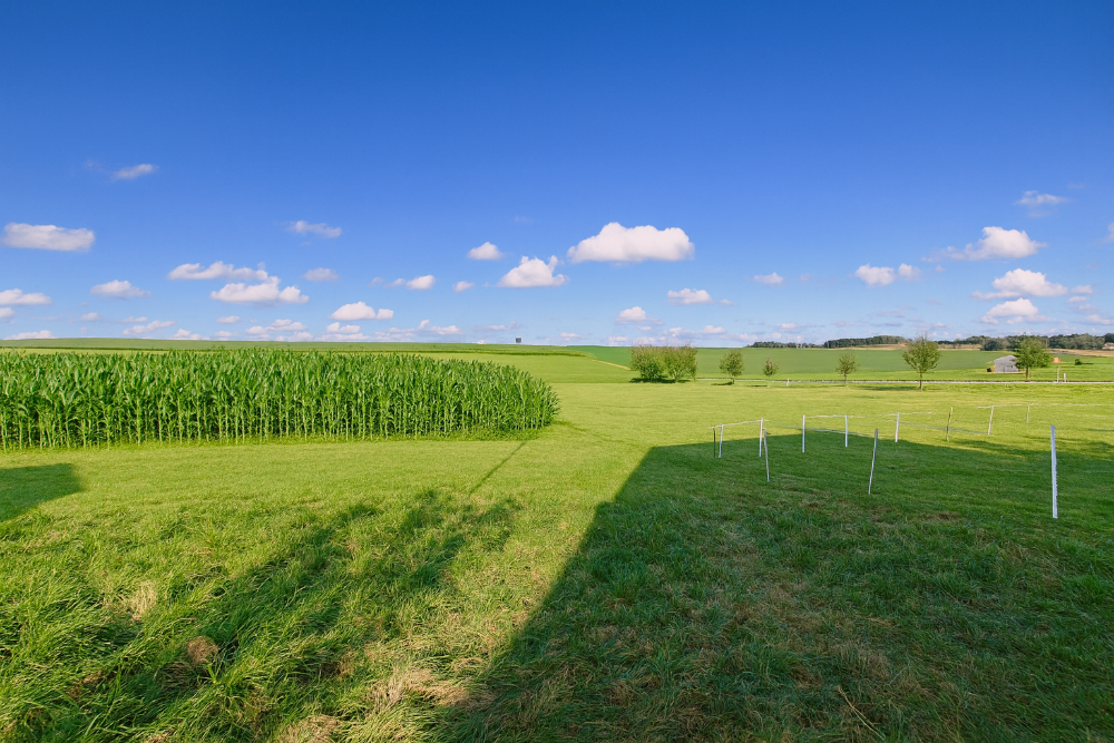 Thumbnail-Grundstück zu verkaufen in Freising 595.000,00 € 703 m²