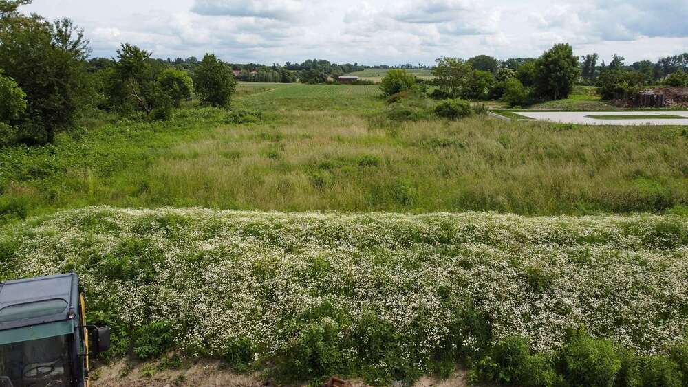 Thumbnail-Grundstück zu verkaufen in Taucha 172.500,00 € 575 m²