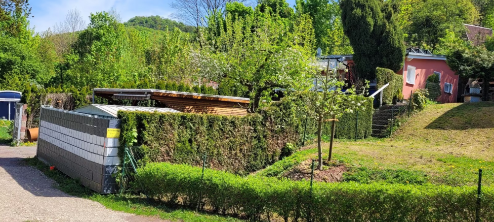 Thumbnail-Haus zum Kaufen in Hainrode-Teichtal Thüringen 149.900,00 € 100 m²