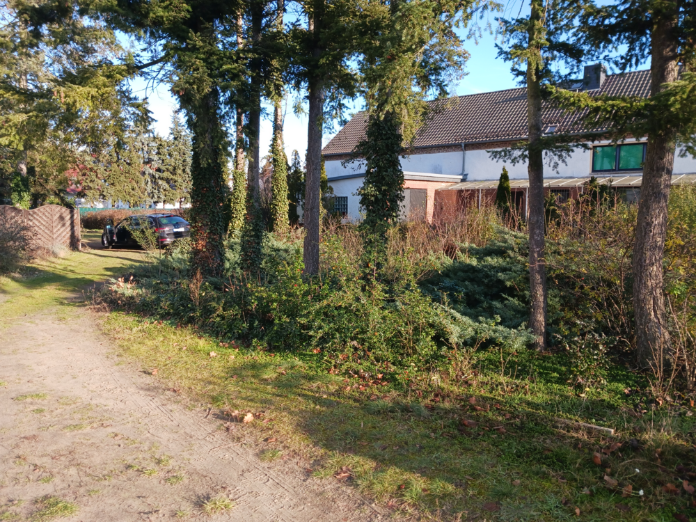 Thumbnail-Haus zum Kaufen in Groß Kreutz (Havel) 639.000,00 € 214.74 m²