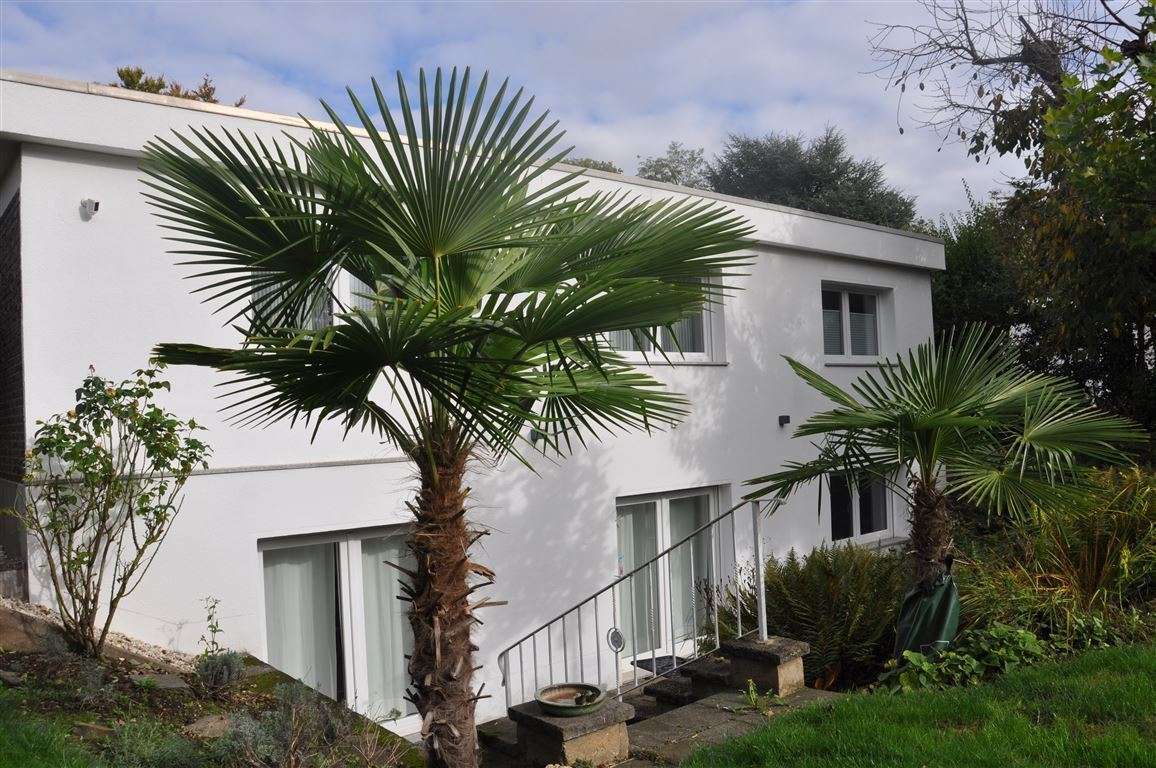 Thumbnail-Haus zum Mieten in Erftstadt 2.800,00 € 230 m²