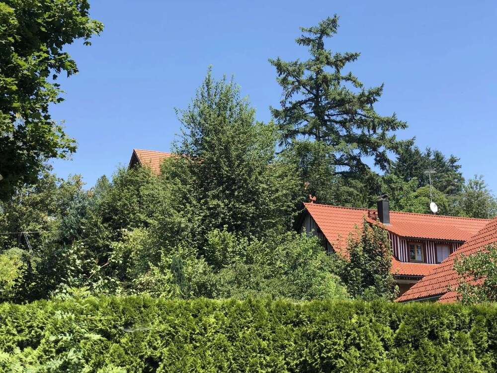 Thumbnail-Wohnung zum Mieten in Neukirch 620,00 € 50 m²