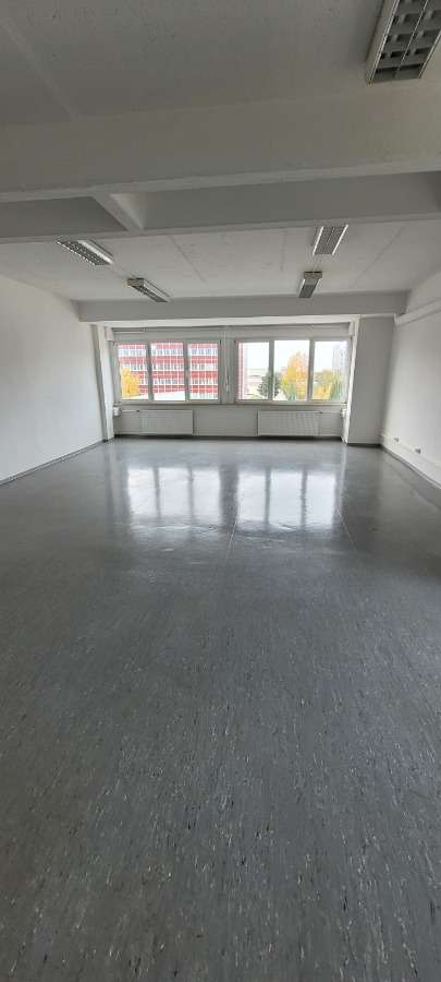 Thumbnail-Büro in Grimma 719,21 € 156.42 m²