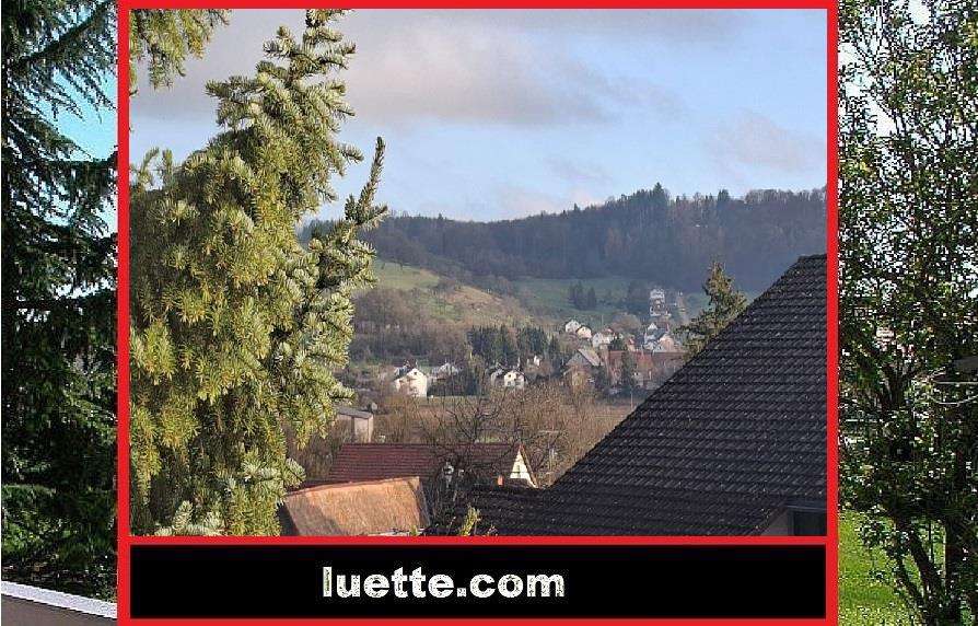 Thumbnail-Wohnung zum Mieten in Wutöschingen 870,00 € 88 m²