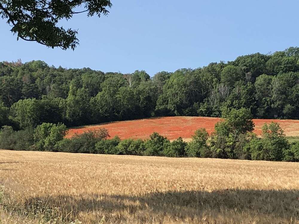 Thumbnail-Wohnung zum Mieten in Laucha 300,00 € 62 m²