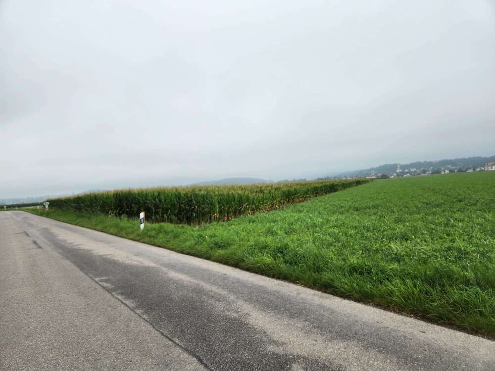 Thumbnail-Grundstück in Fuchstal 165.000,00 € 13160 m²