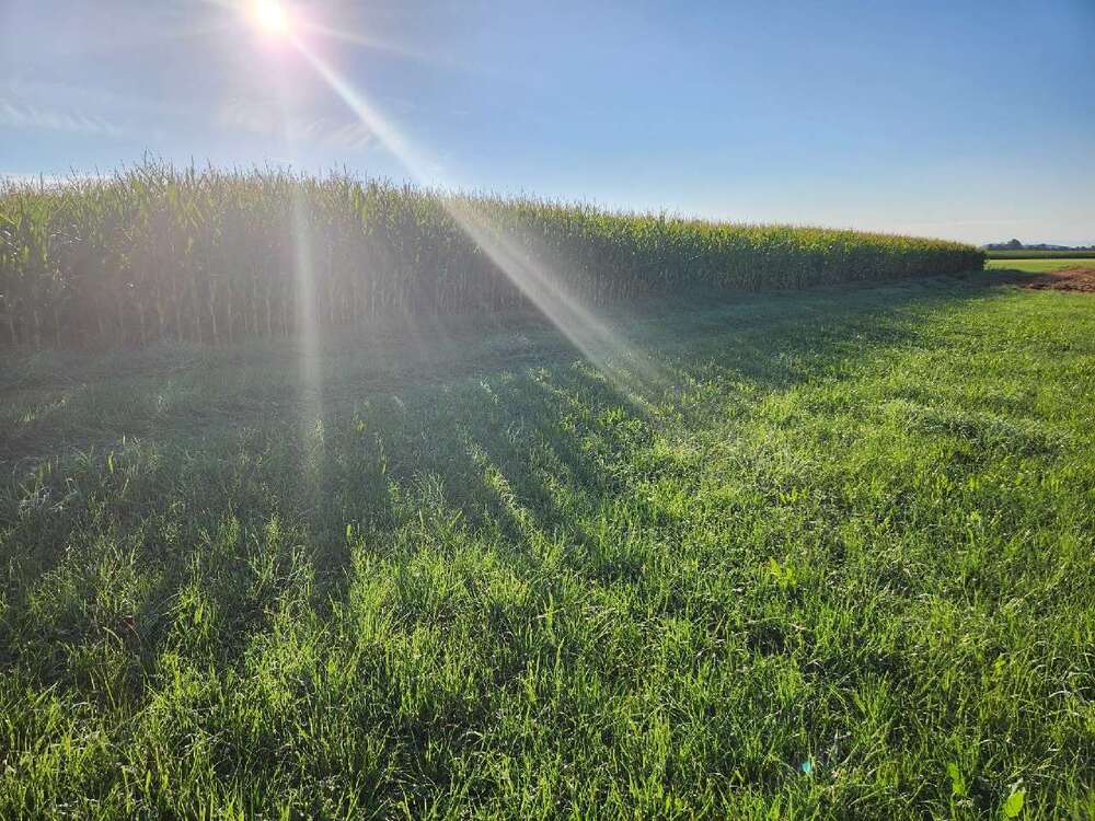 Thumbnail-Grundstück in Fuchstal 140.000,00 € 11171 m²