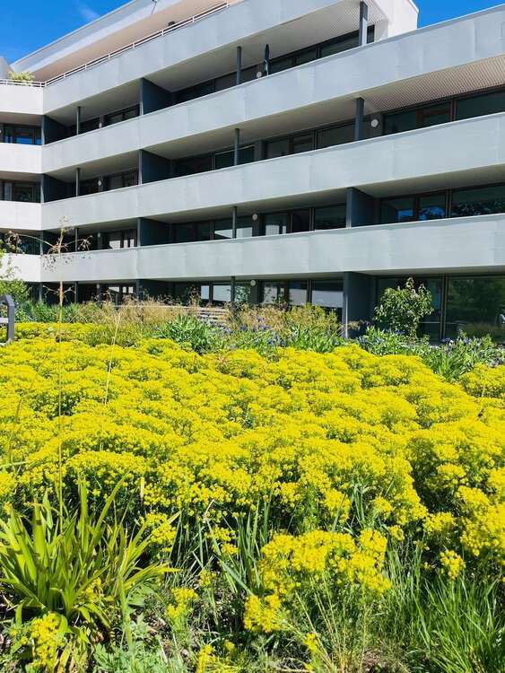 Thumbnail-Wohnung zum Kaufen in Hofheim am Taunus 459.000,00 € 70.49 m²