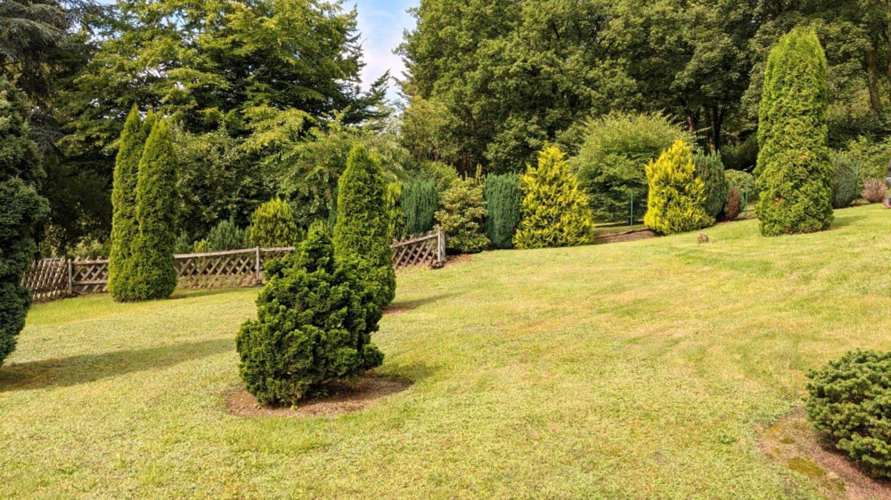 Thumbnail-Grundstück zu verkaufen in Gummersbach 99.900,00 € 590 m²